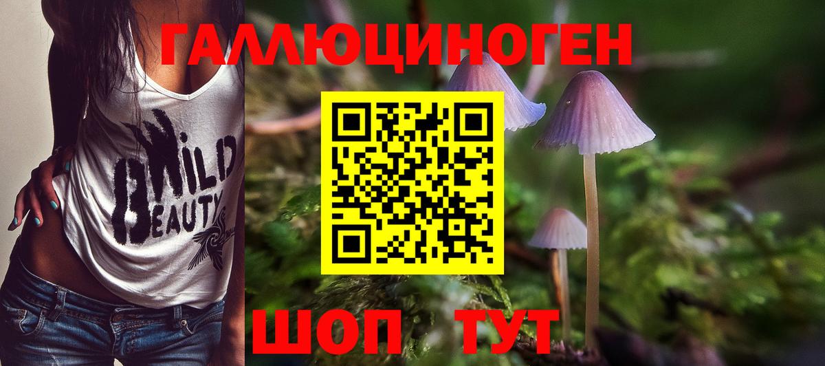 Бутурлиновка  Галлюциногенные грибы ЛСД  Вход с VPN 